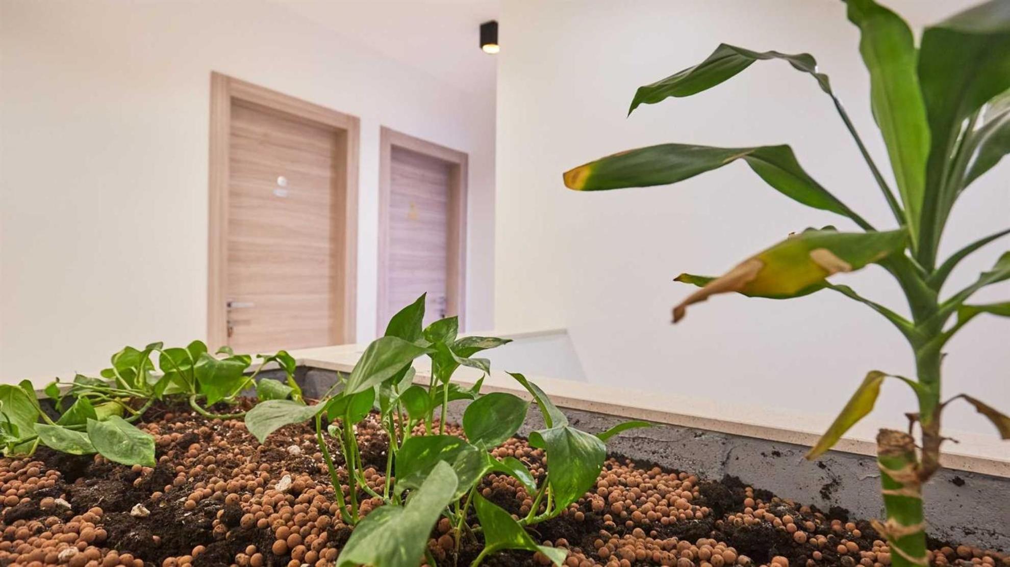 Boutique Garden Rooms Dubrovnik Exterior foto